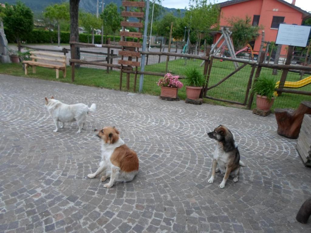 Azienda Agrituristica Pericle Montella Exteriér fotografie
