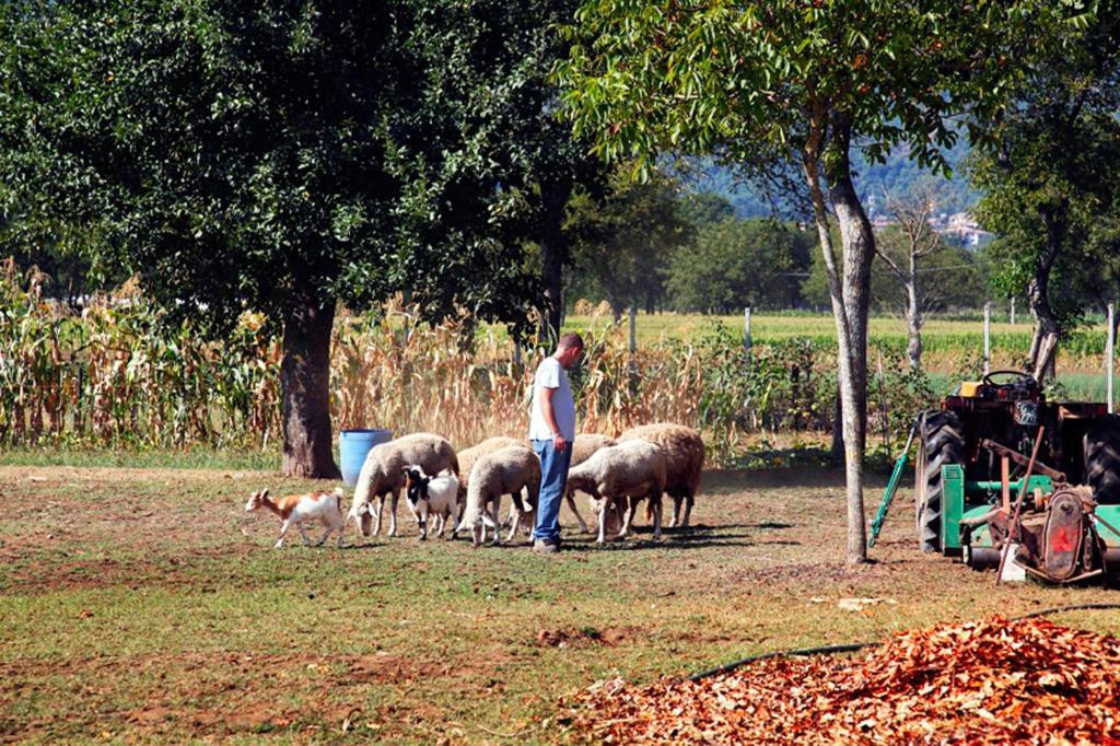Azienda Agrituristica Pericle Montella Exteriér fotografie
