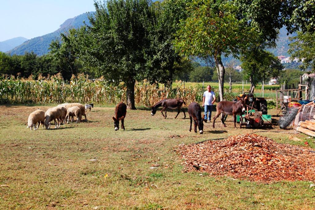 Azienda Agrituristica Pericle Montella Exteriér fotografie