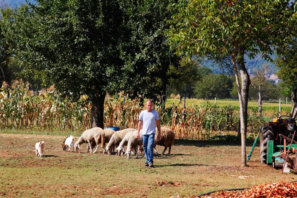 Azienda Agrituristica Pericle Montella Exteriér fotografie